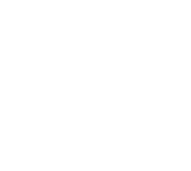 Asset 1