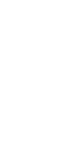 Asset 17